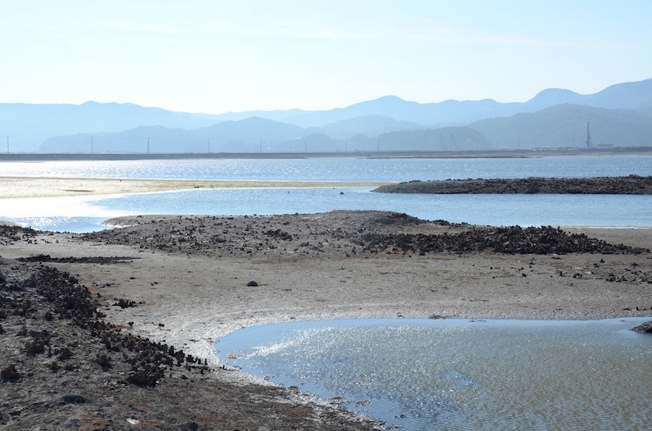 長面地区では排水作業が始まり、少しずつ陸地が現れてきた