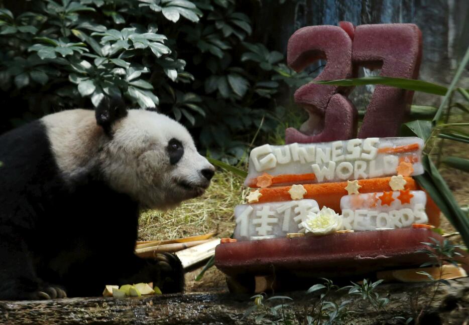 氷と野菜でできたバースデーケーキ＝2015年7月28日（写真：ロイター/アフロ）