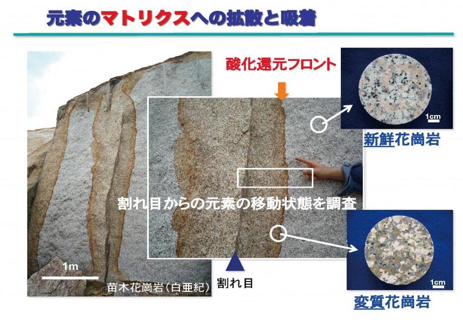 [画像]元素のマトリクスへの拡散と吸着