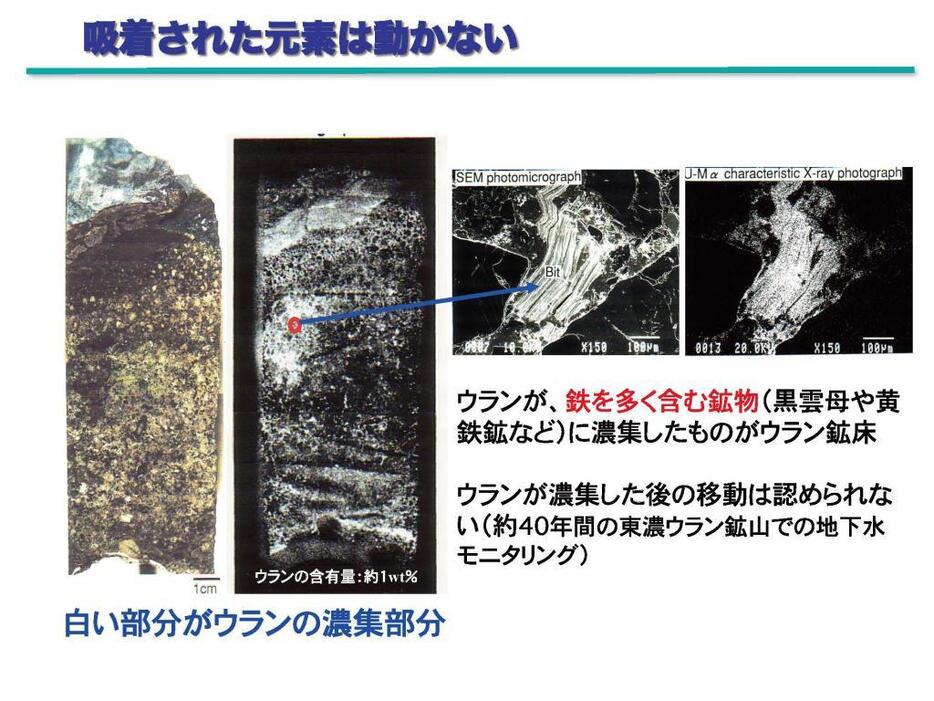 [画像]吸着された元素は動かない