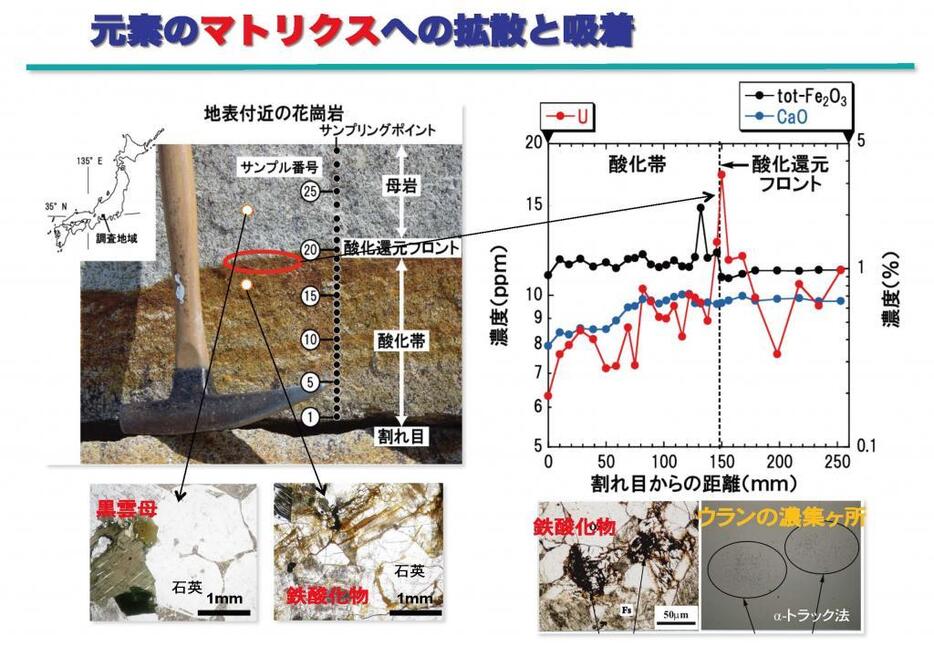 [画像]元素のマトリクスへの拡散と吸着