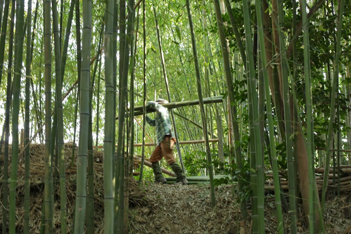 [写真]げんは竹を育てるところから自分で行う(撮影: Jesse Robbins)