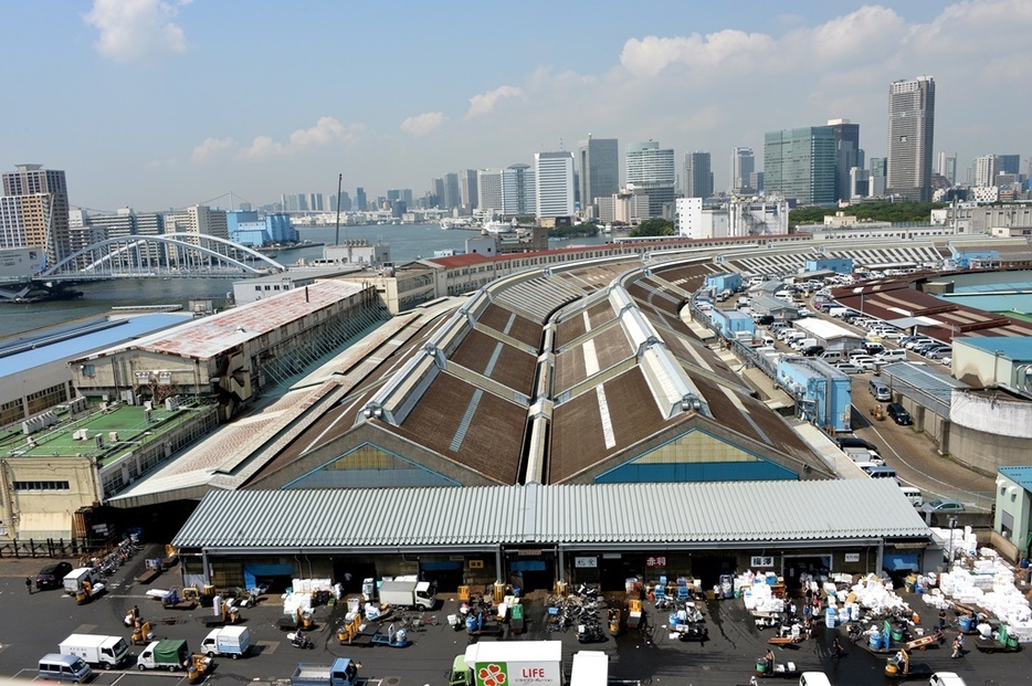 都民の「台所」築地魚市場。豊洲市場は2016年11月7日に開場＝2014年7月2日（写真：Natsuki Sakai/アフロ）