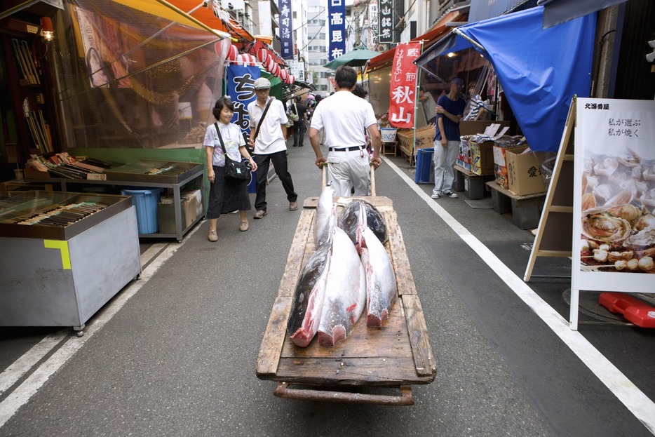 場外市場でマグロを運ぶ風景（写真：アフロ）