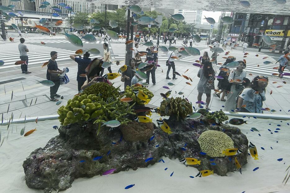 裏側からのぞくと魚たちが街を泳ぎまわっているよう＝2015年7月24日（写真：Rodrigo Reyes Marin/アフロ）