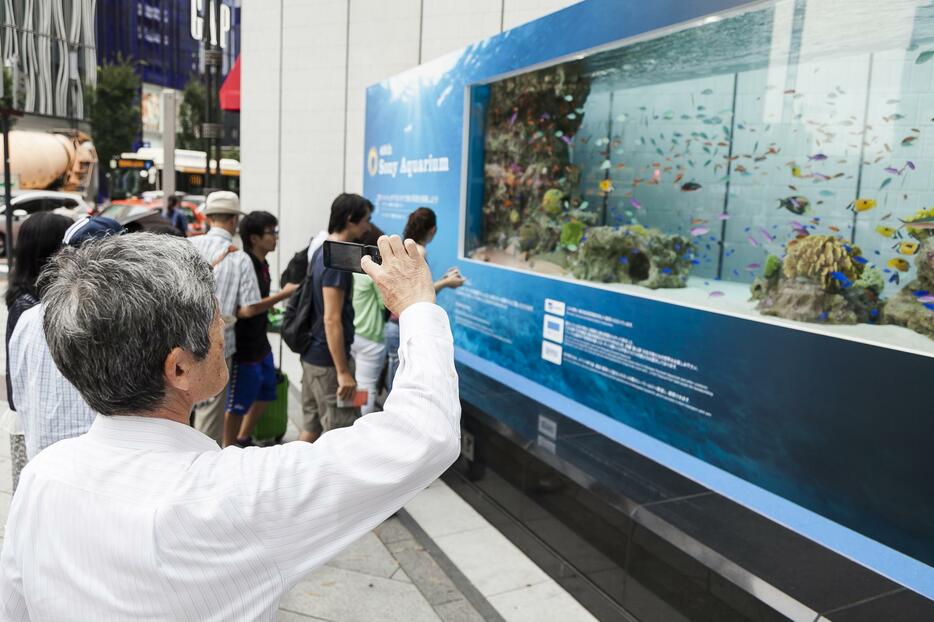 銀座に14トンの巨大水槽が登場＝2015年7月24日（写真：Rodrigo Reyes Marin/アフロ）