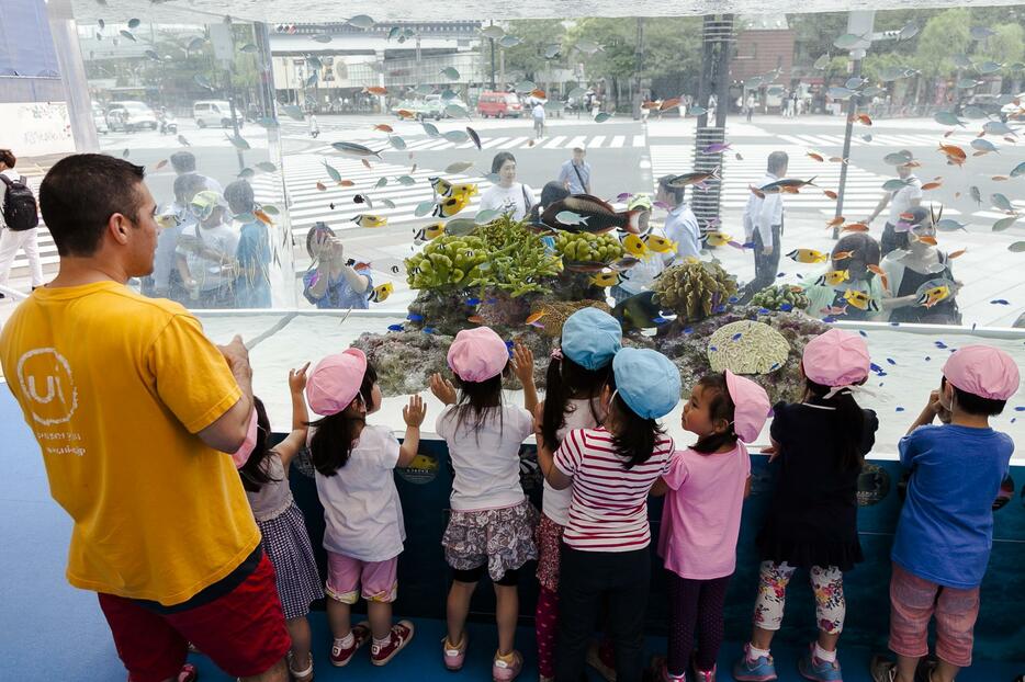 水槽にかじりつく子どもたち＝2015年7月24日（写真：Rodrigo Reyes Marin/アフロ）