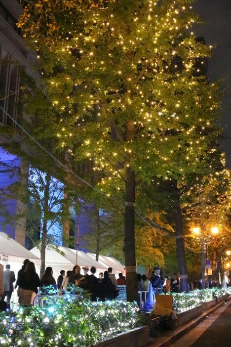 ［写真］きらびやかな輝きを放つ御堂筋のイルミネーション＝4日夜、大阪市中央区で（撮影：柳曽文隆）