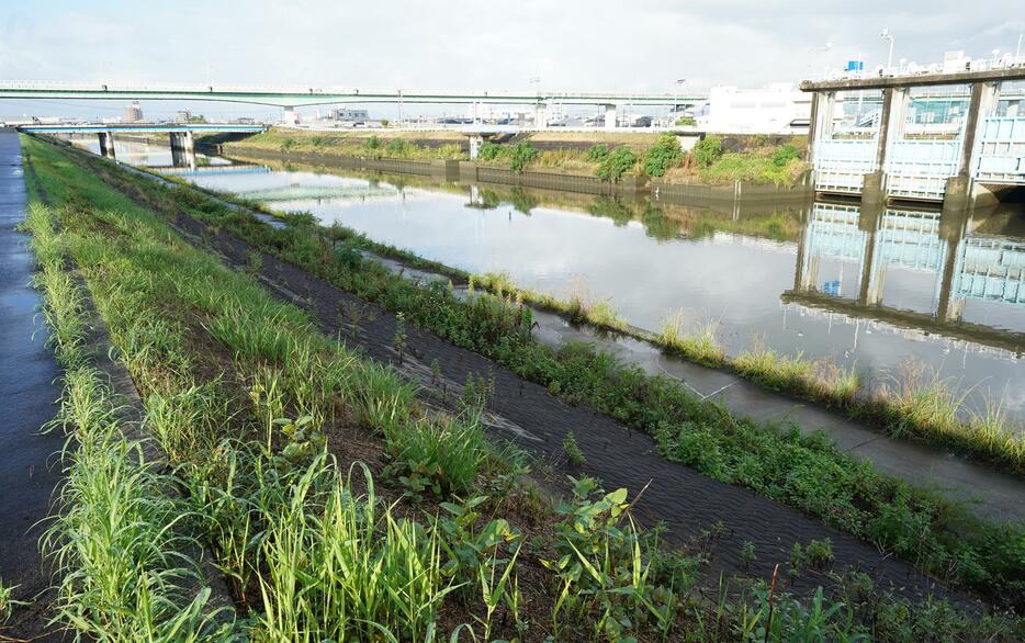 20年前に決壊した新川の堤防。現在も流域全体で治水工事が進められている