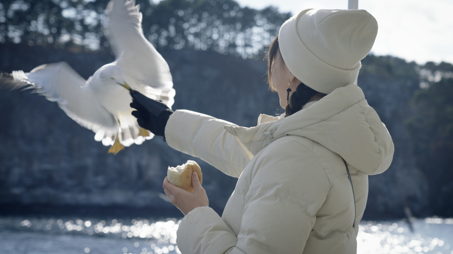 「うみねこを初めて見た」という台湾からの観光客（撮影：筆者）