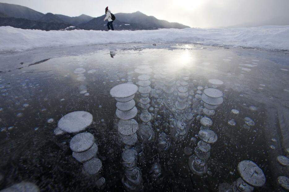 北海道上士幌町の糠平湖に出現した「アイスバブル」＝10日朝