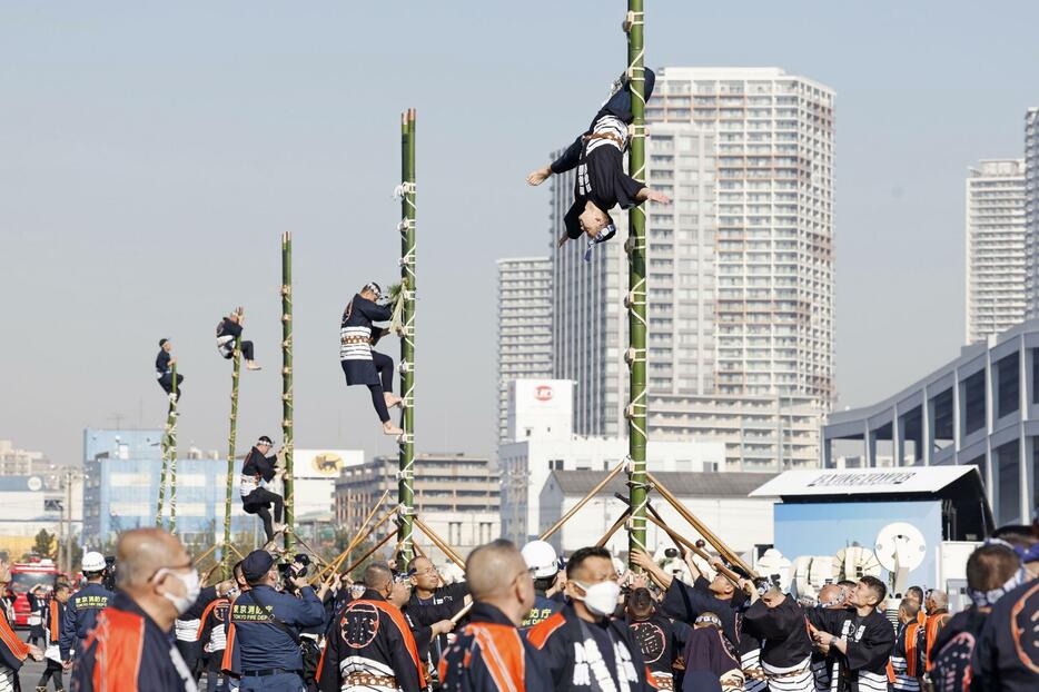 東京消防庁の出初め式で披露されたはしご乗り＝6日午前、東京都江東区