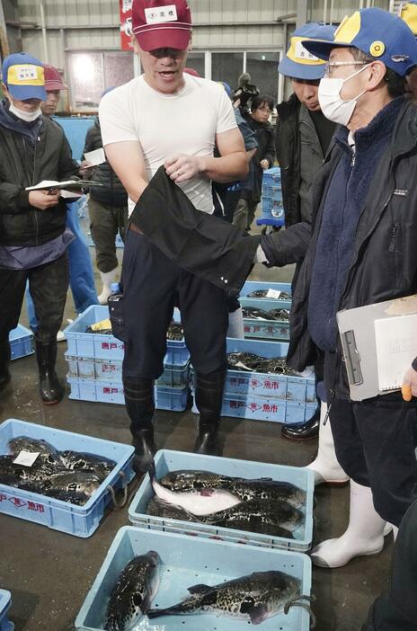 山口県下関市の南風泊仮設市場で開かれたトラフグの「袋競り」＝4日未明