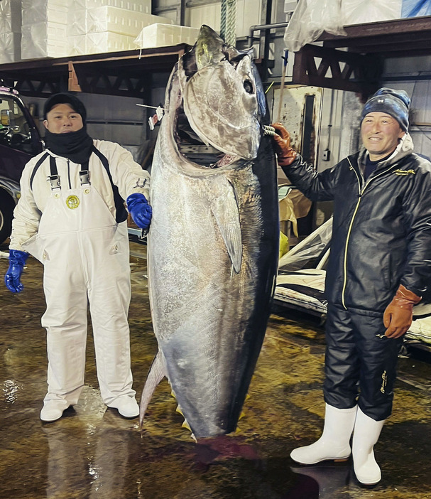 238キロのクロマグロを釣った菊池正義さん（右）と息子の正真さん＝2023年12月31日、青森県大間町（菊池正真さん提供）