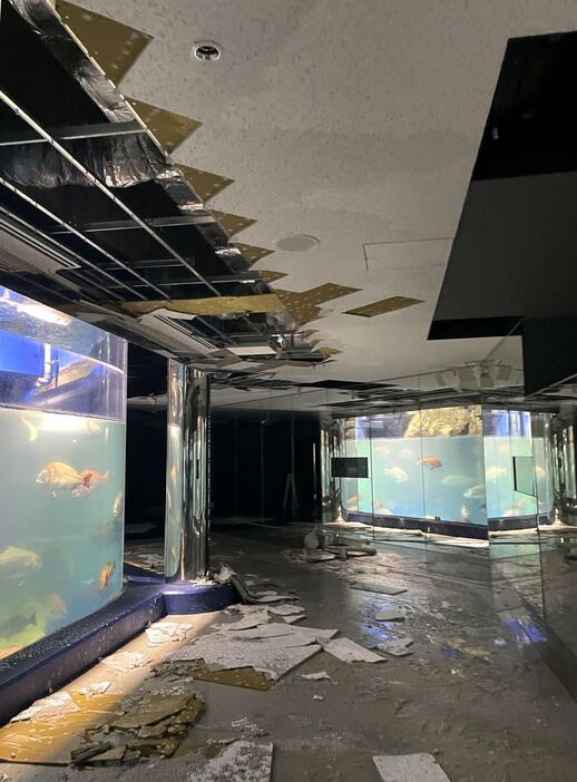 地震の影響で天井が落下したのとじま水族館＝石川県七尾市（同水族館提供）