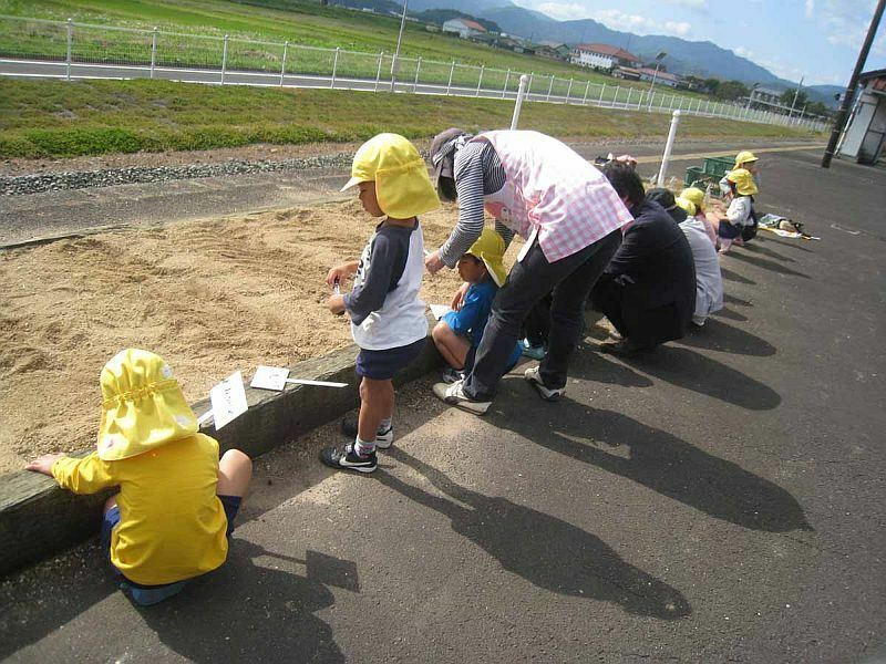 [写真]与謝野駅の花壇には、地元の保育園の園児が毎年チューリップの球根を植えている