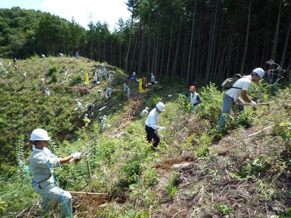 [写真]東京都が推進する森林循環促進事業の苗木の植え替えの様子（東京都提供）