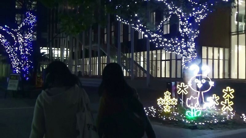 [写真]イルミネーションが美しい夜のキャンパス。経営学部第2部の学生が学んでいる＝大阪市東淀川区大隅の大阪経済大学大隅キャンパス