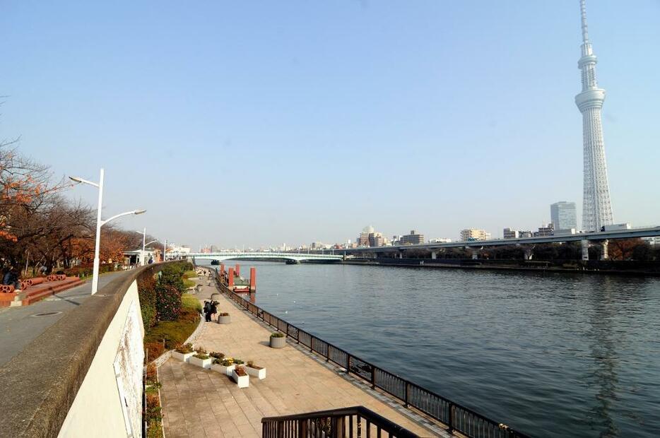 [写真]整備された隅田川の親水空間には緑が溢れる。浅草や東京スカイツリーも近いため、外国人観光客の姿も多く見られる