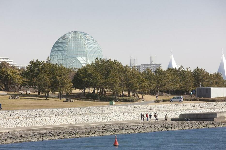 [写真]都立公園の一つである「葛西臨海公園」。民間活力の導入や法改正によってアイドルグループのコンサート開催も可能になった（アフロ）