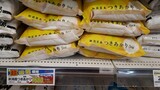 多収性品種「つきあかり」も家庭用に