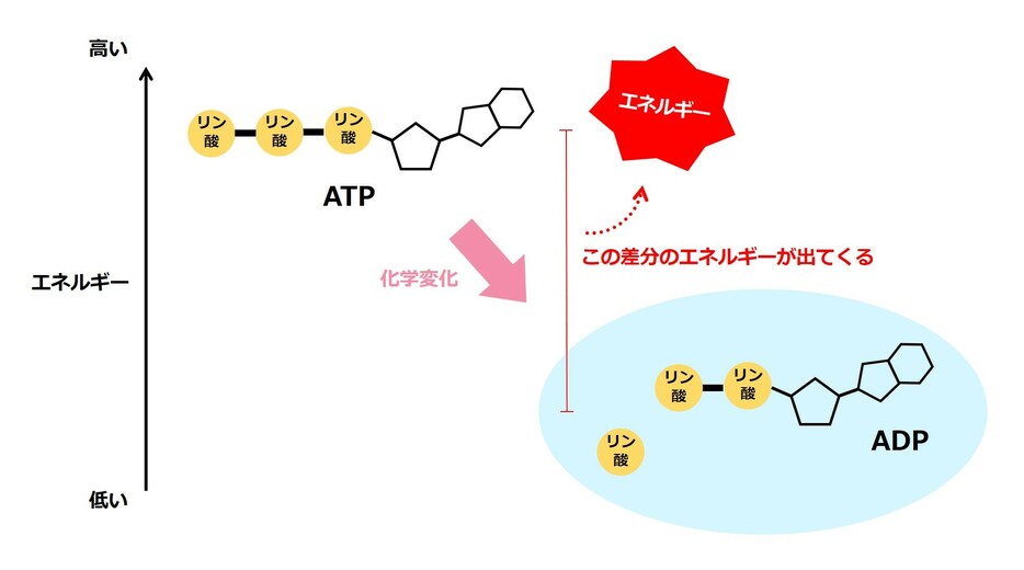 [図解]化学変化によるエネルギーの変化