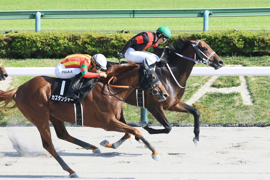 東京11R・スレイプニルS】クールミラボーが得意コースで