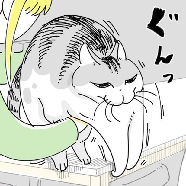 失敗される猫 hq720.jpg?sqp=-