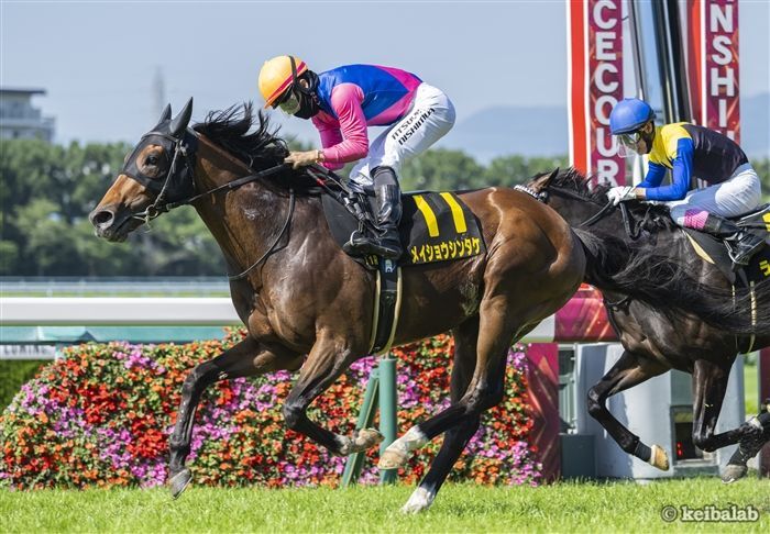 しらさぎS】現在4連勝中！2ケタ人気で激走例あり「神枠」を