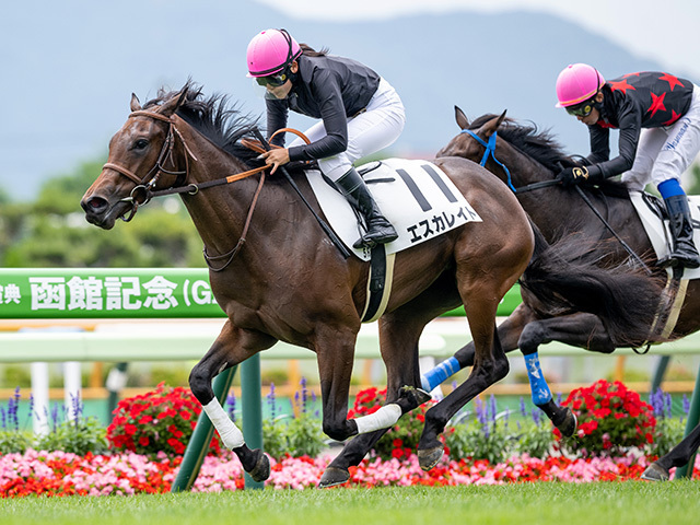 まねき馬　レインボー　ロードカナロア まねき馬 レインボー ロードカナロア Yahoo!オークション