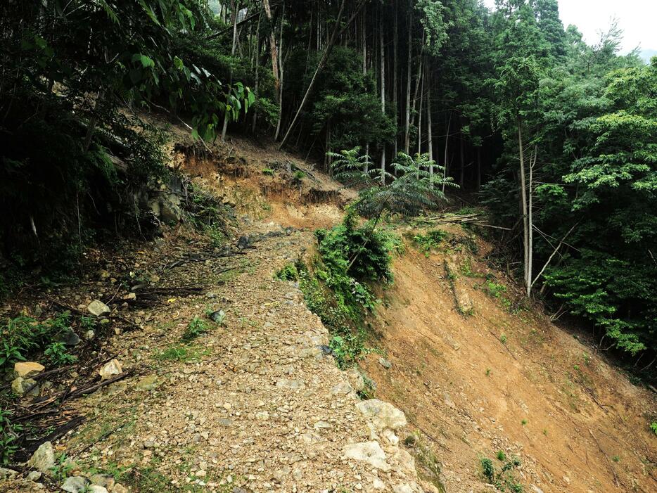 豪雨で崩落した作業道（熊本県八代市坂本町　撮影：西岡千史）