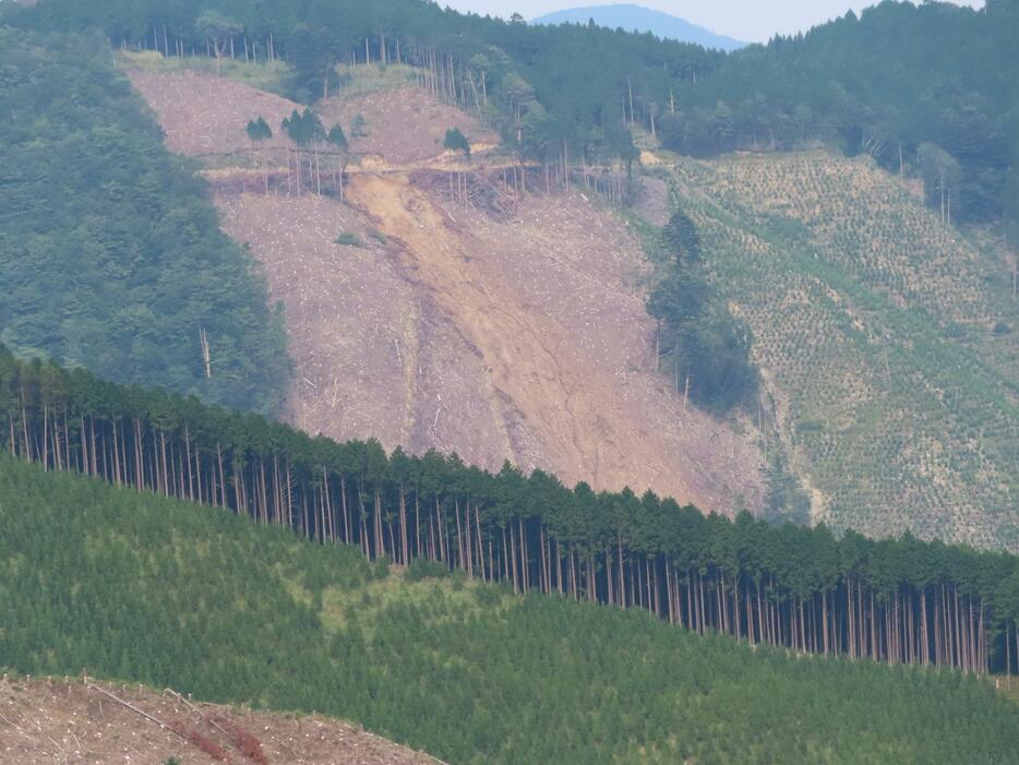 豪雨5カ月後の球磨村。標高の高い皆伐跡地の作業道から崩落している（2020年12月、中嶋健造氏提供）