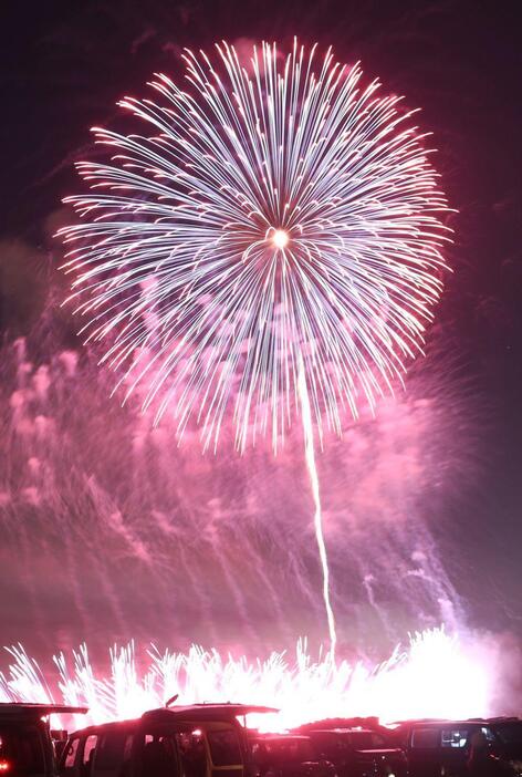 色濃く高くあがる花火