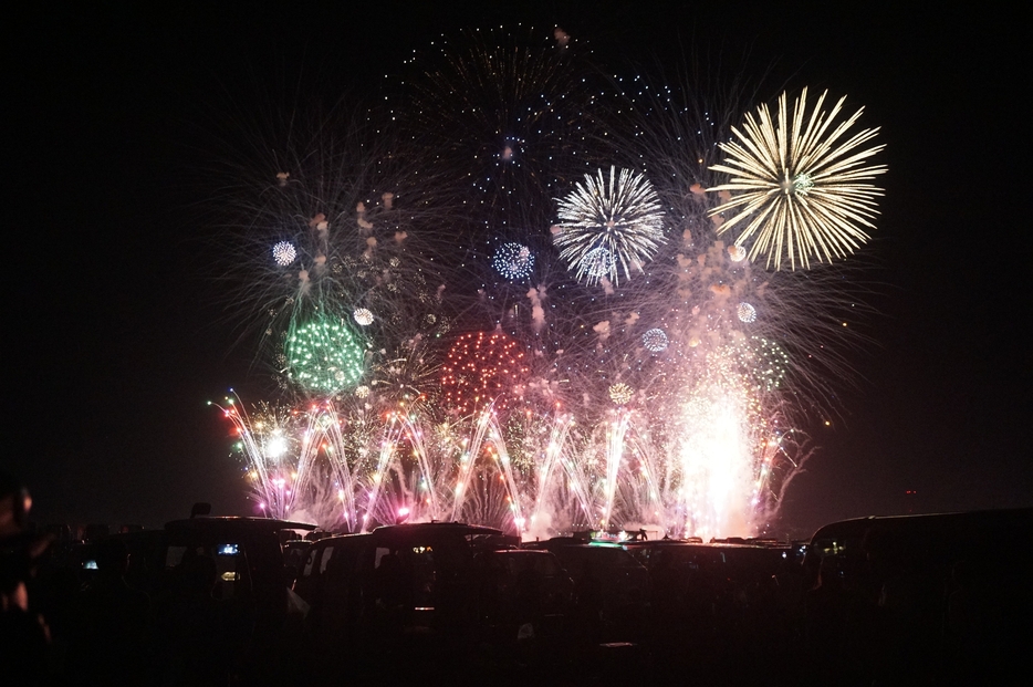 大阪の夜空を焦がす色鮮やかな花火