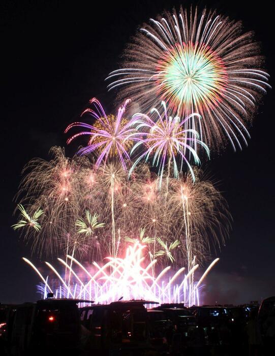 ［写真］広大な敷地に堂々とあがる花火＝25日夜、大阪市此花区で