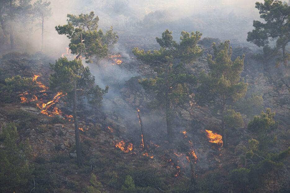 ギリシャのロードス島の森林で燃え広がる山火事＝22日（ロイター＝共同）