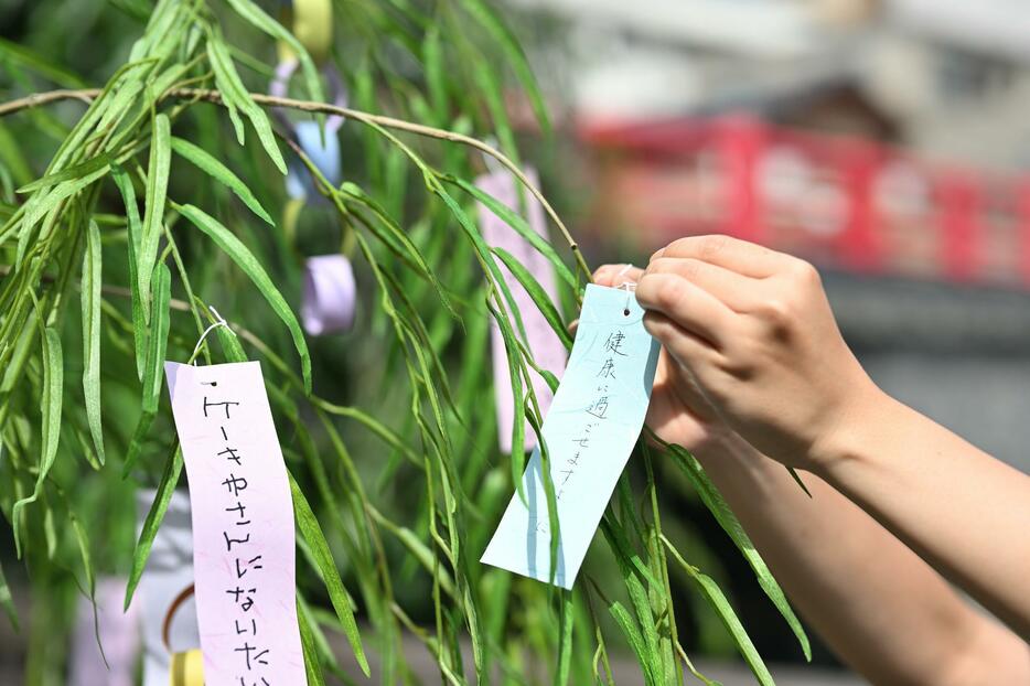 （写真：アフロ）