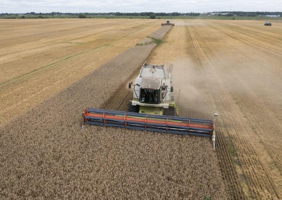 収穫が進む小麦畑＝2022年8月、ウクライナ北部キーウ州（AP＝共同）