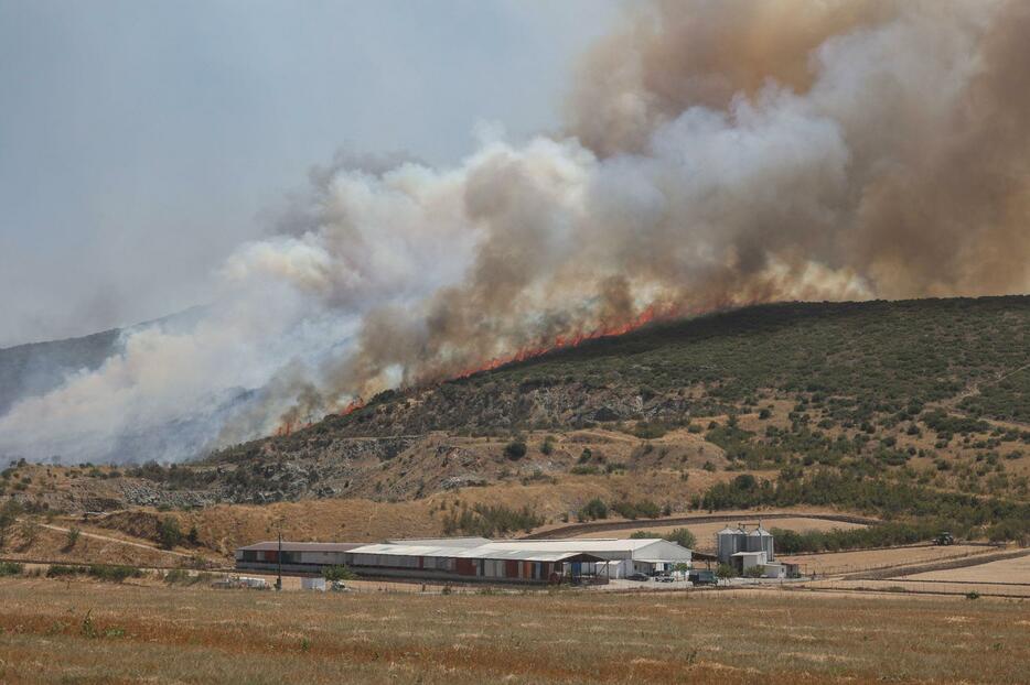 ギリシャ中部ボロス近郊の山火事の様子＝27日（ロイター＝共同）