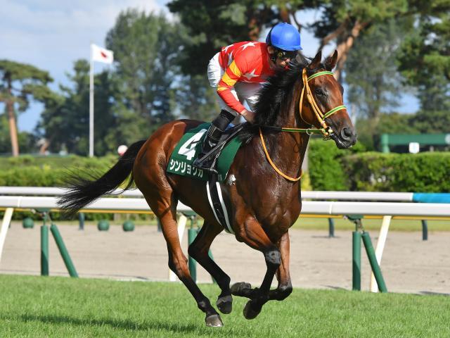 ヴィクトリアマイル1週前】アドマイヤマツリがWコースで素軽い