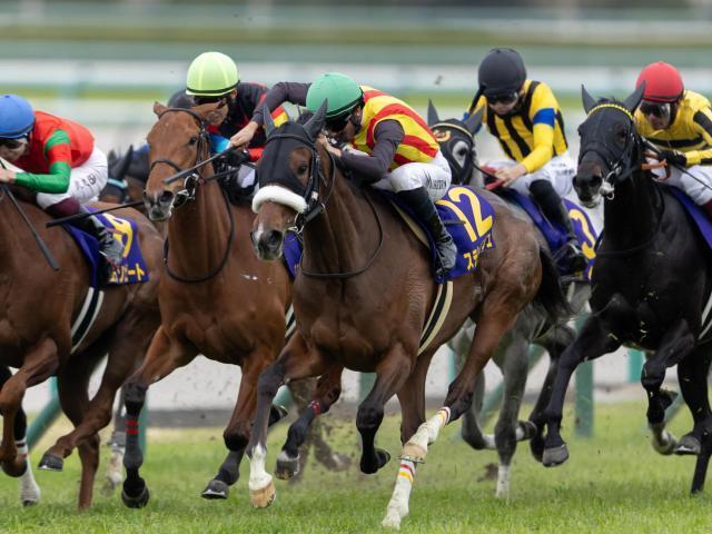 大阪杯・調教後馬体重】ステレンボッシュは475kg