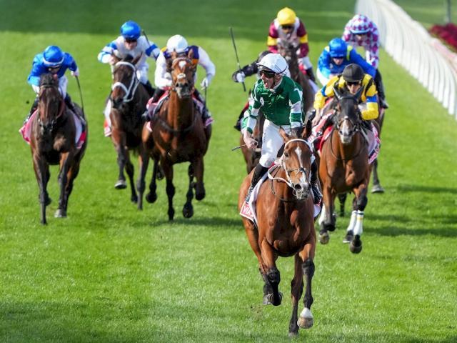 G1・8勝の“豪州現役最強牝馬” 日本馬2頭とクイーンエリザベスSで