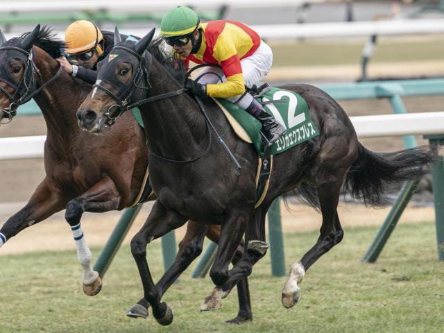 競馬 JRA レープロ950115中山 アイリッシュダンス-ハーツクライ