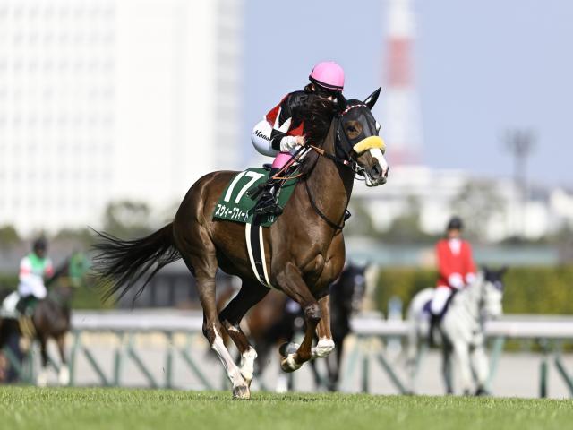 阪神牝馬S予想】ヴィクトリアMへの最重要ステップ 春のマイル