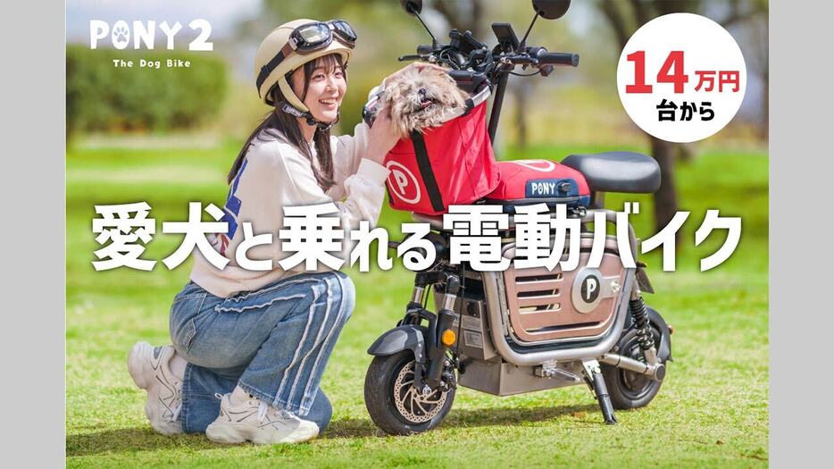 ZERO10X - 公道走行可能な電動キックボード (原付二種