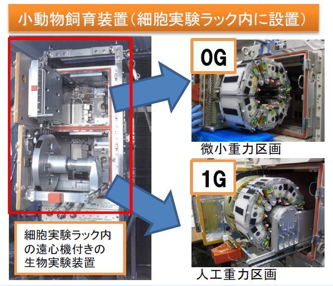 [画像]細胞実験ラック内の遠心機付きの生物実験装置（写真提供：JAXA）