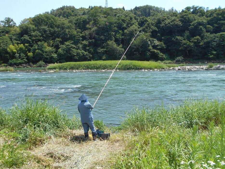 [写真]アユ釣り解禁の犀川（長野市）