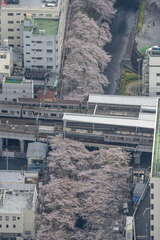 北西側に回ると東急5050系の東横線下り列車と東武70090型の日比谷線中目黒止まりの列車、それに東武9000型の東横線上り列車が中目黒駅に到着するところだった（2021年3月30日、吉永陽一撮影）。