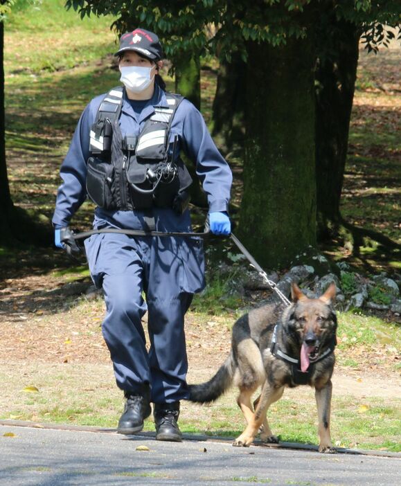 公園内では警備犬の姿も