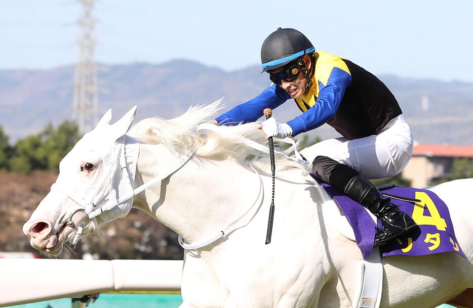 ソダシが桜花賞で白毛馬として初のクラシック制覇を果たした(写真・日刊スポーツ／アフロ）